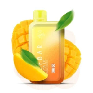 Elfbar Raya D1 Double Mango | Vape Shop Noida