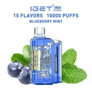 IGET FLARE B10000  Blueberry Mint | Vape Shop Noida