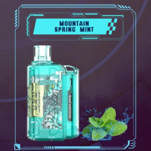 IGET FLARE B10000  Mountain Spring Mint | Vape Shop Noida