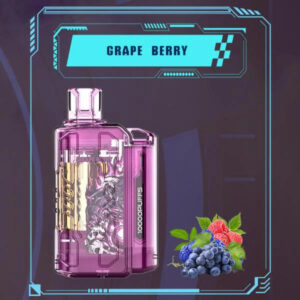 IGET FLARE B10000  Grape Berry | Vape Shop Noida
