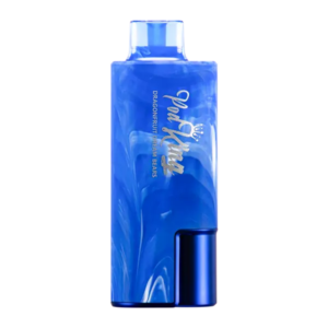 Dragonfruit Dream Bears Pod King XC10000 | Vape Shop Noida